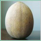 Seminte pepene galben