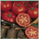 Seminte tomate
