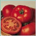 Seminte tomate