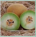 Seminte pepene galben