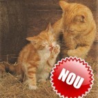 Puzzle din pluta 500 piese