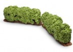 Miniaturi de jucarie