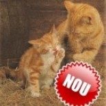 Puzzle din pluta 500 piese