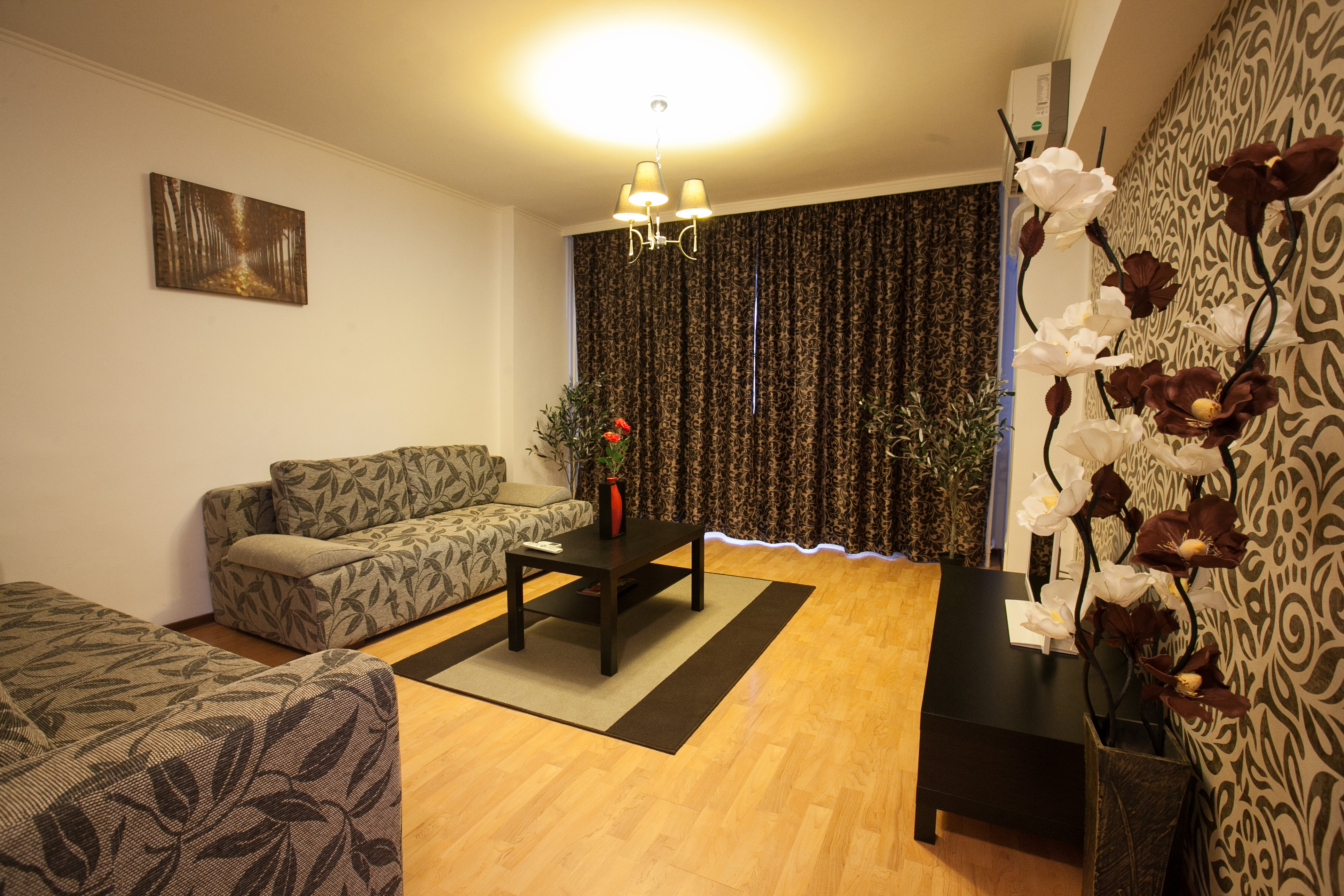 Apartament Coposul