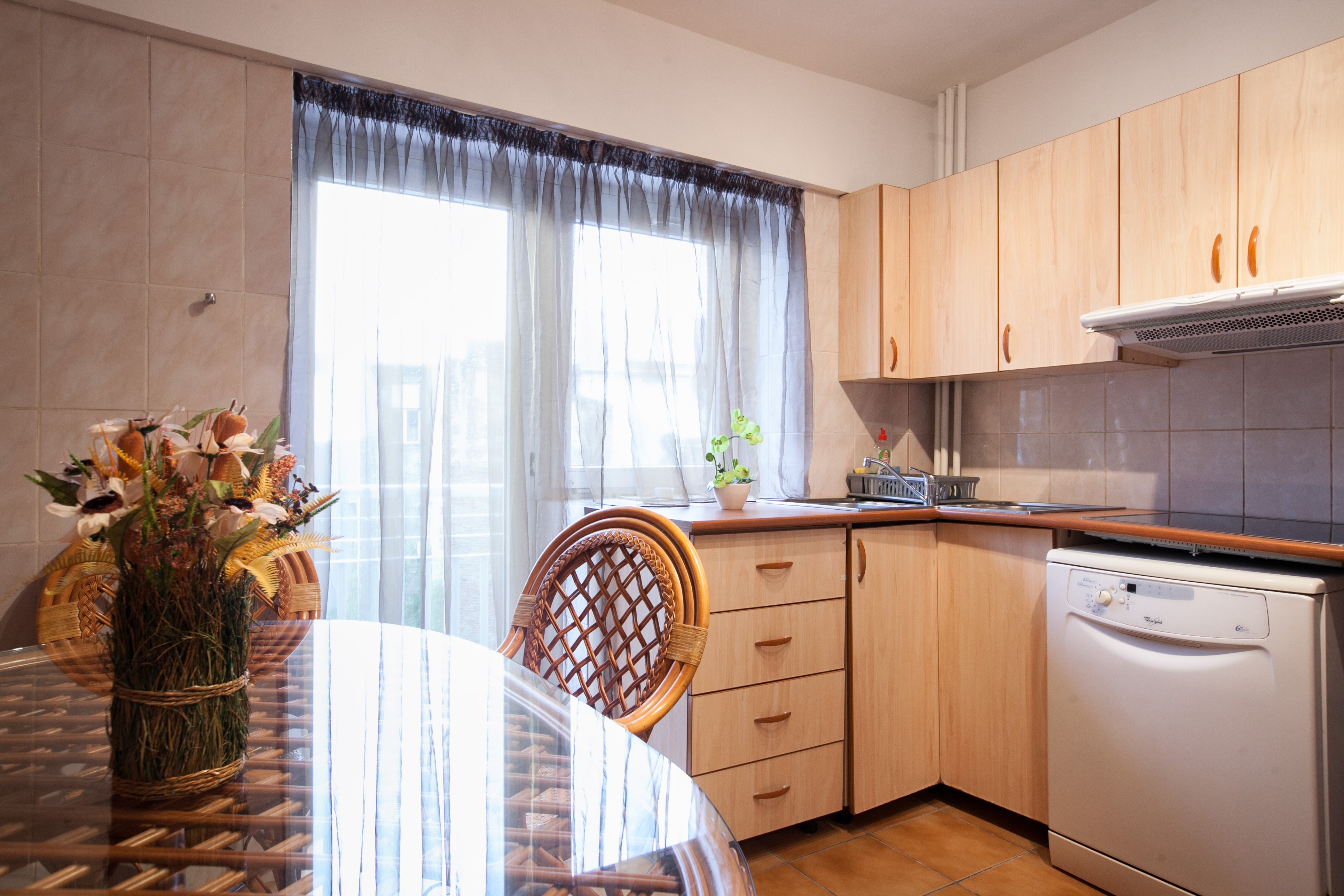Apartament Coposul