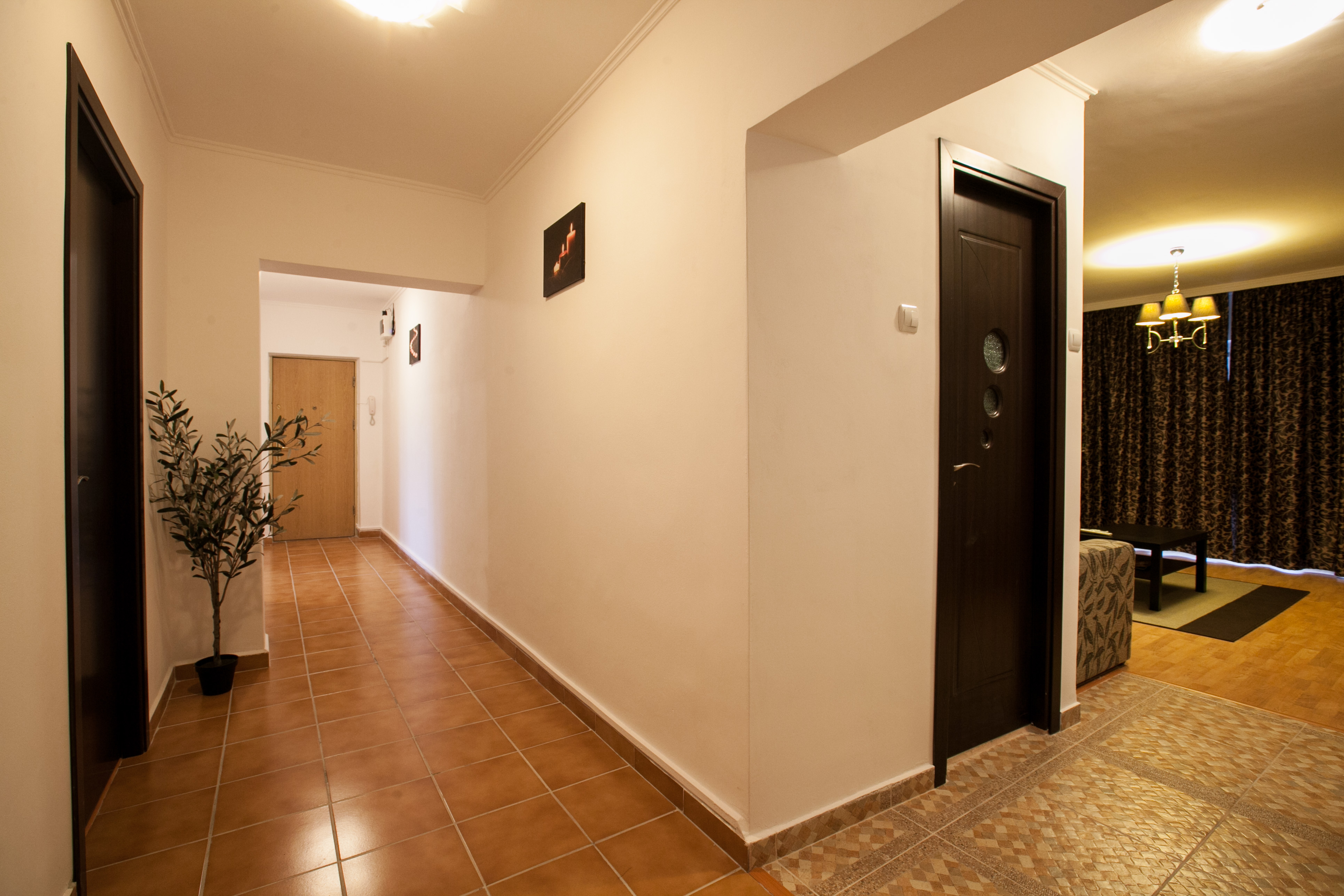 Apartament Coposul