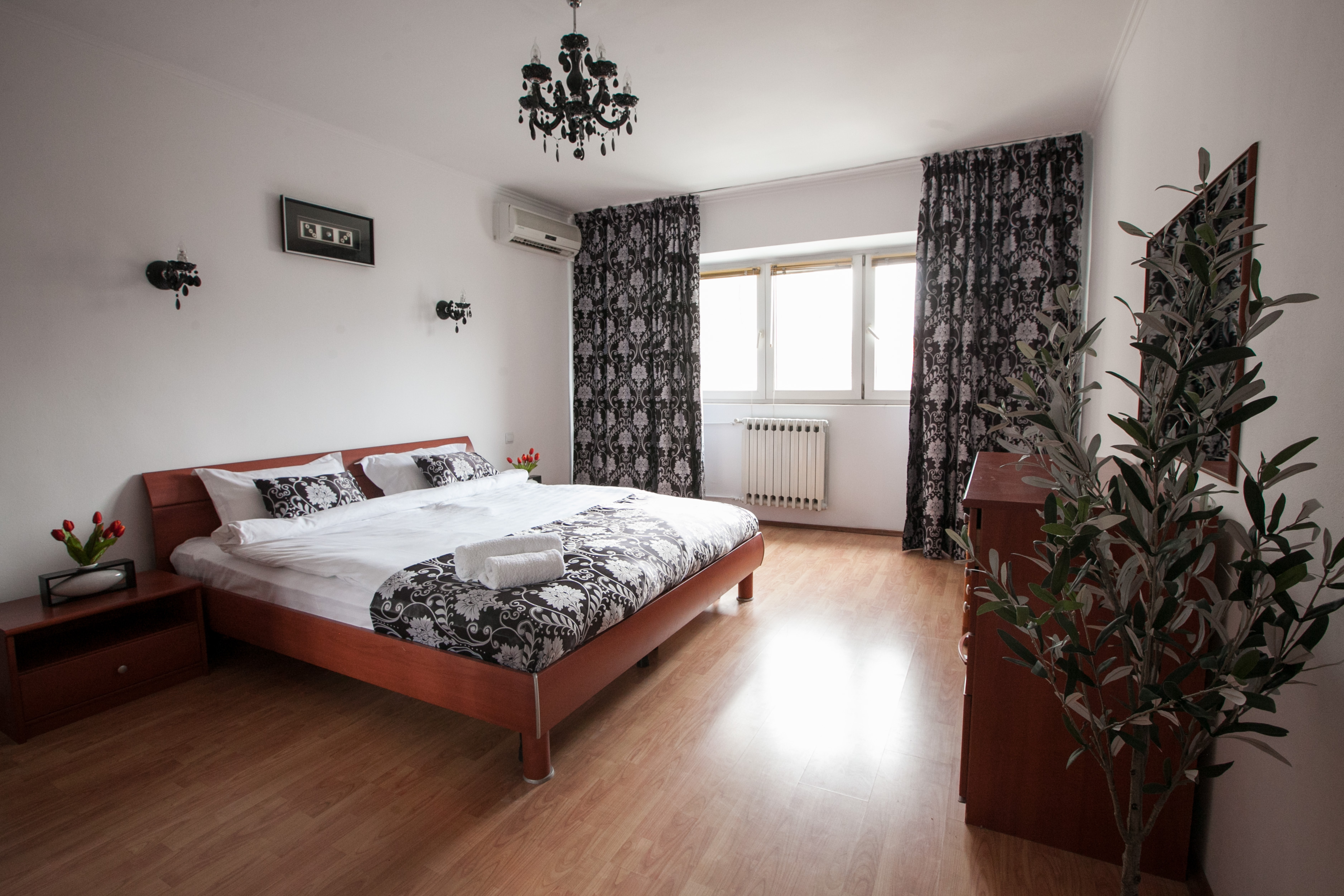 Apartament Coposul