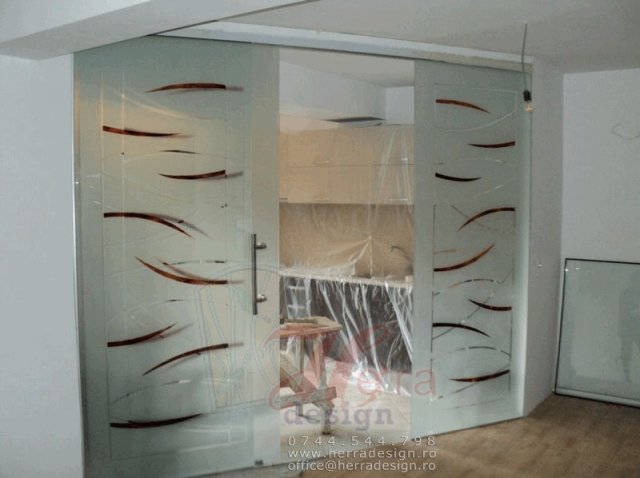 Usi din sticla glisante