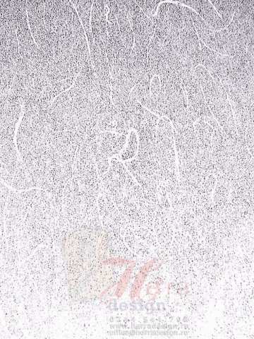 Folii decorative sticla