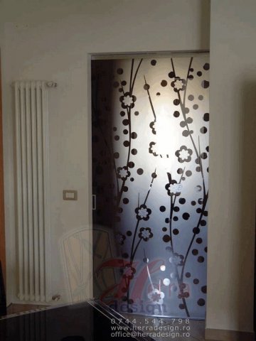 Usi din sticla glisante