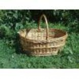 Cosuri rachita picnic