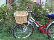 Cosuri rachita pentru biciclete