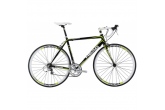 Biciclete adulti