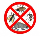 Dezinfectie Bucuresti