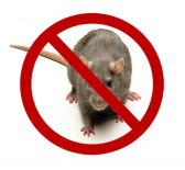 Deratizare Bucuresti