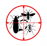 Dezinsectie Bucuresti