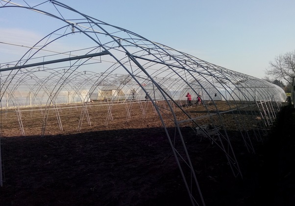 Solarii structura metalica