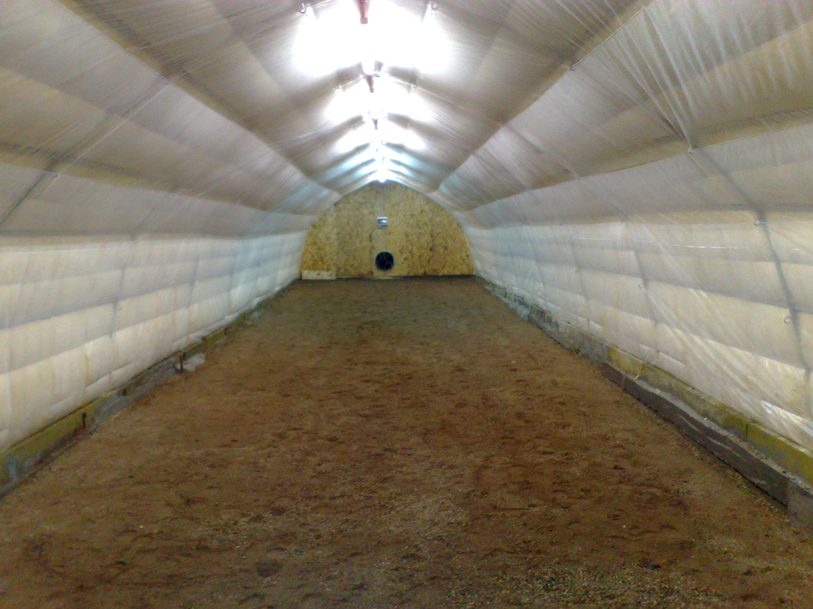 Solarii ciuperci