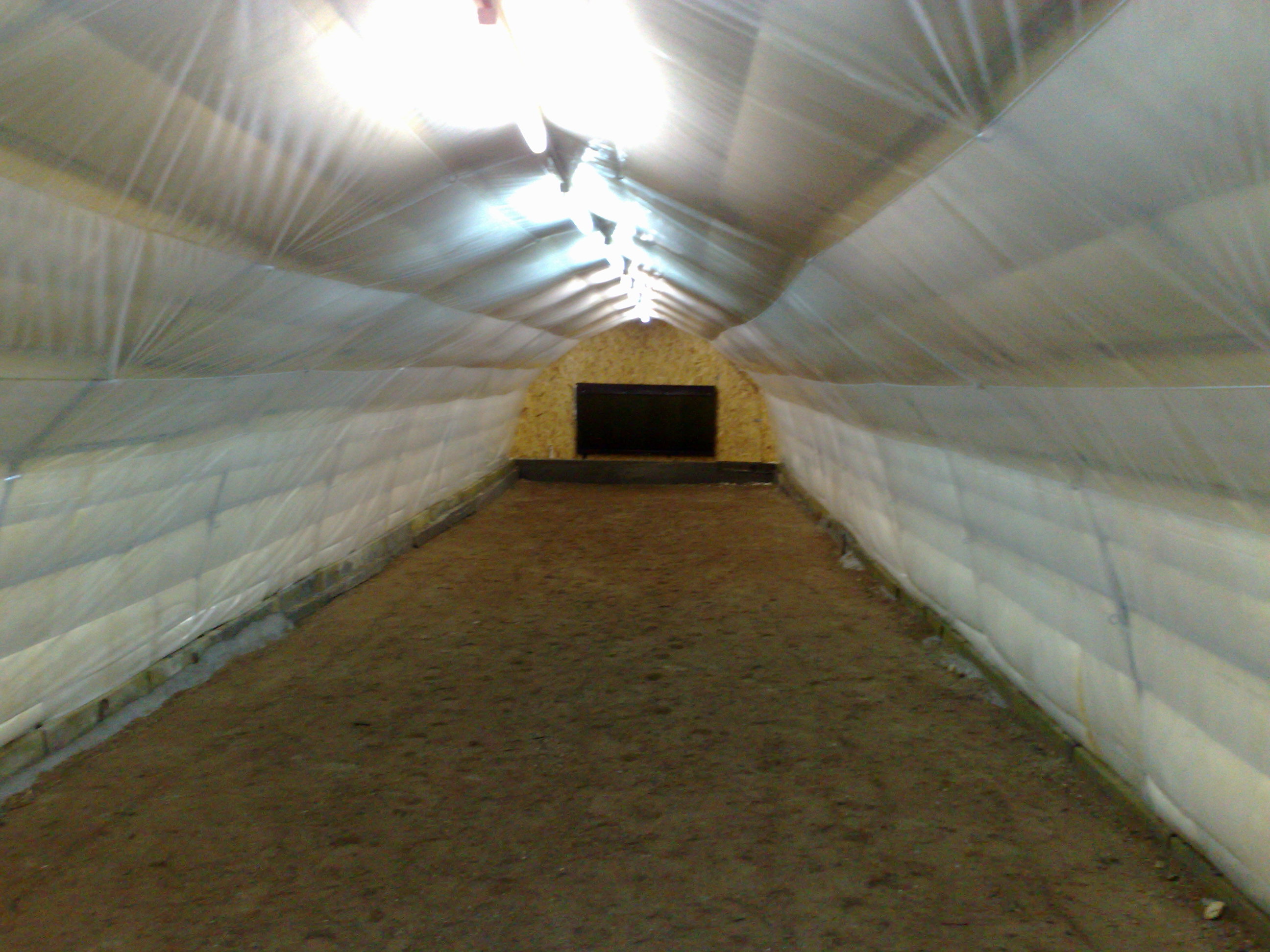 Solarii ciuperci