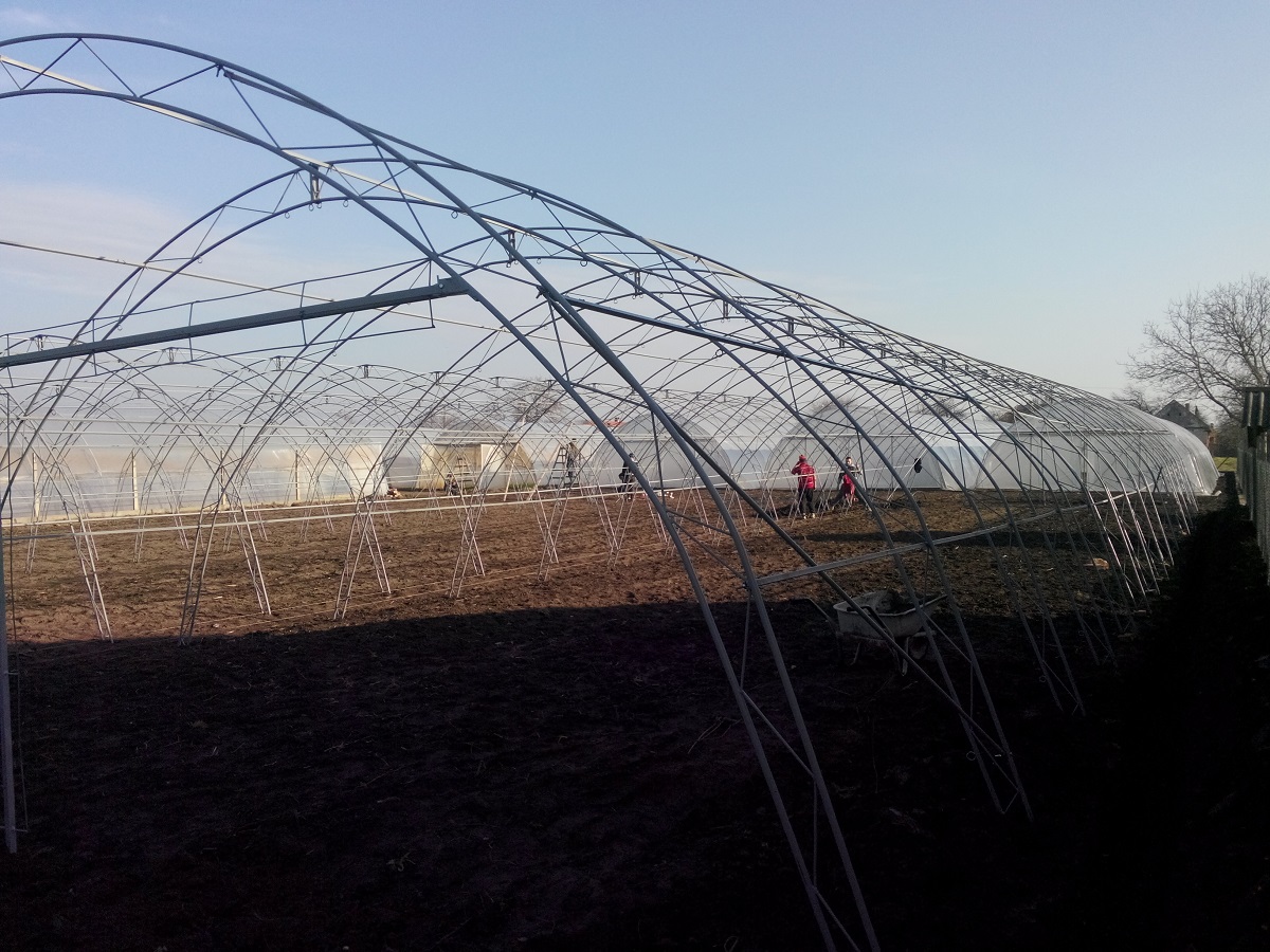 Solarii legume profesionale