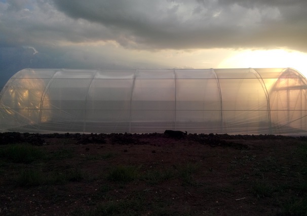 Solarii de calitate