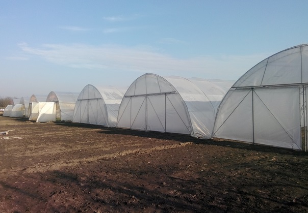 Solarii de calitate
