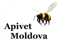 Producator miere naturala