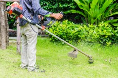 Servicii tuns gazon