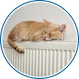 Centrale termice boiler