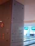 Placari sticla