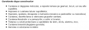 Curatenie dupa constructor