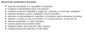 Curatenie locuinte
