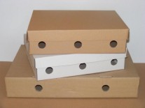 Cutii carton cu capac