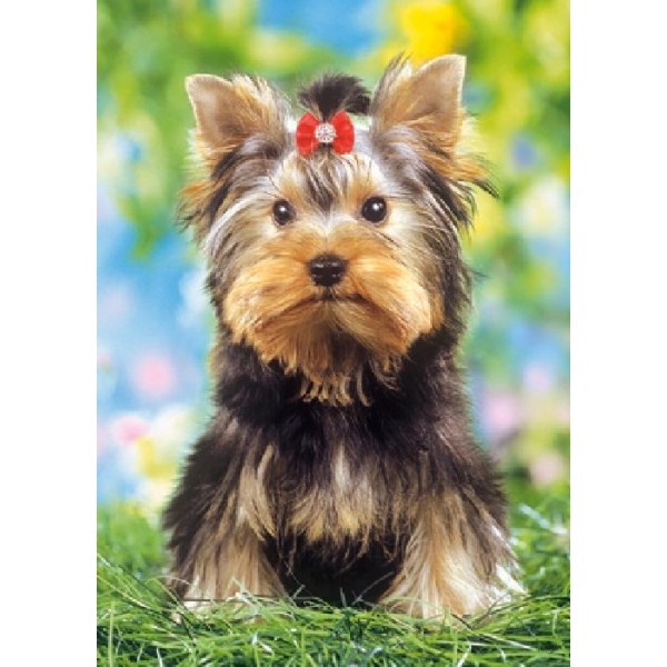 Joc puzzle copii