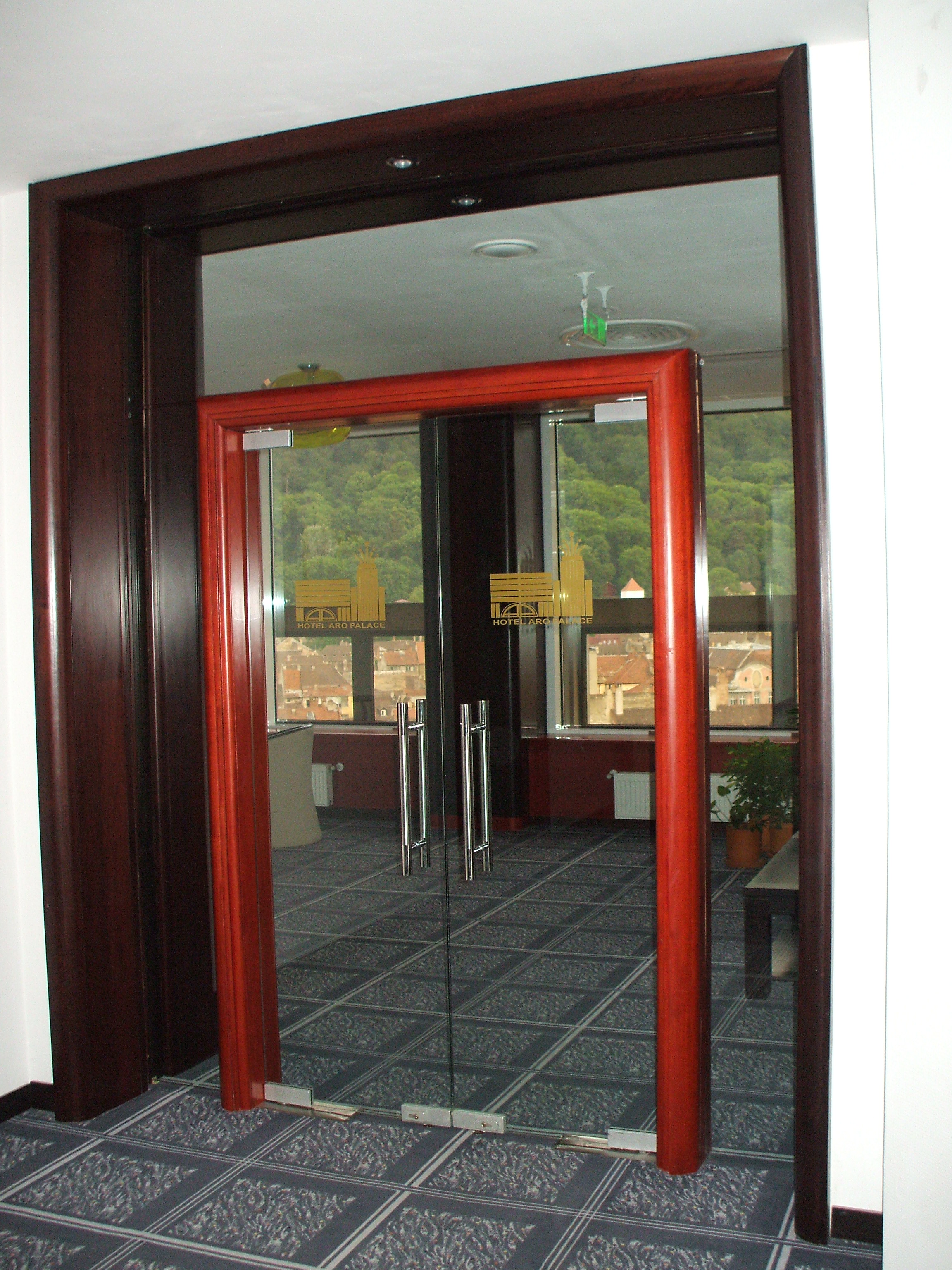 Usi sticla interior
