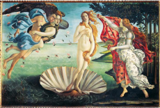 Puzzle copii