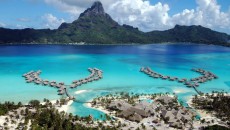 Vacante exotice ieftine