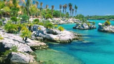 Vacante exotice ieftine