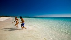 Vacante exotice ieftine