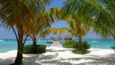 Vacante exotice ieftine