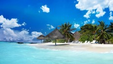 Vacante exotice ieftine