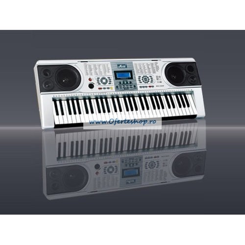 Orga electronica