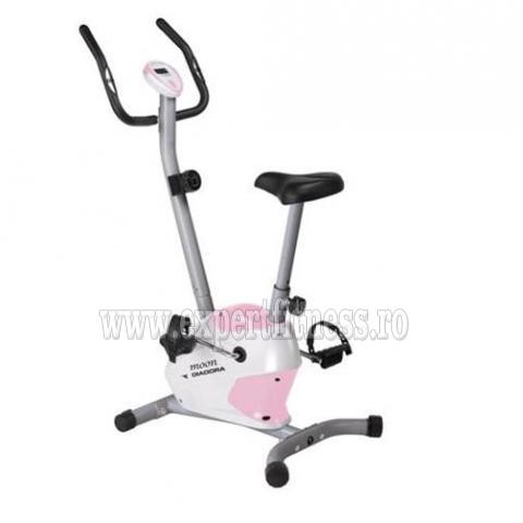 Bicicleta magnetica