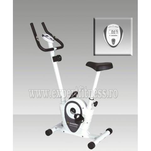 Bicicleta magnetica
