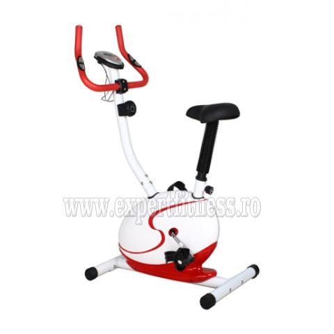 Bicicleta magnetica