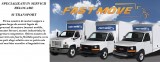 Fast Move Logistic