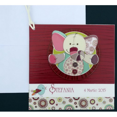 Invitatii botez