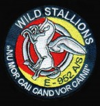 Embleme armata