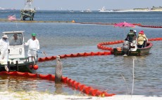 Lucrari de ecologizare