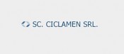 Ciclamen